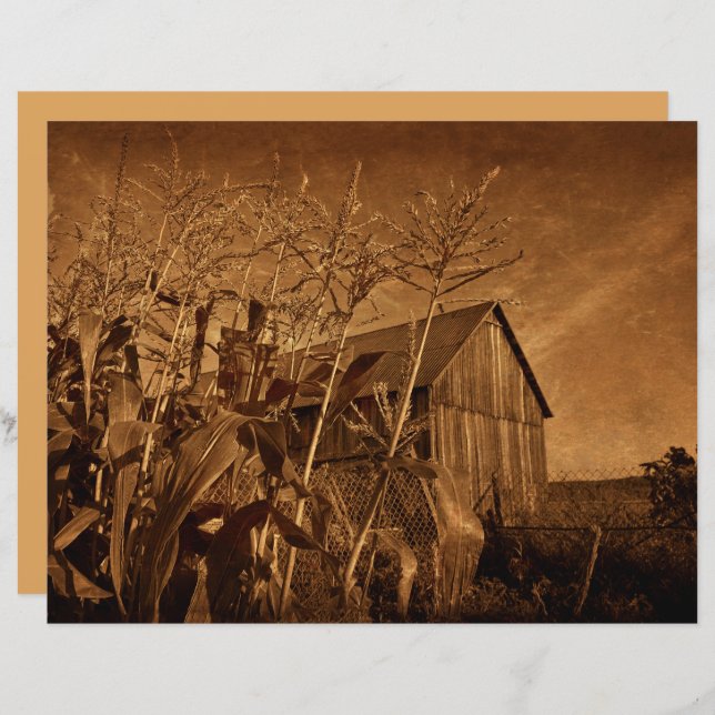 Campo Russo Vintage Fazenda Castanho Textura (Frente/Verso)