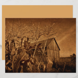 Campo Russo Vintage Fazenda Castanho Textura