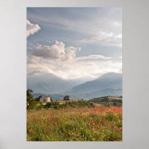 Campos da papoila no poster de Italia