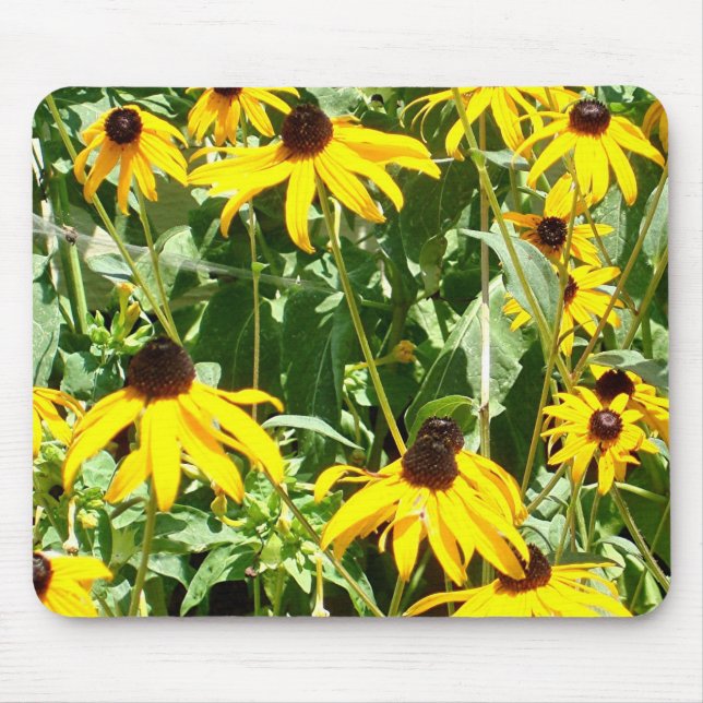 Campos de Mousepad amarelo (Frente)