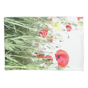 Campos de papoila flores Sun Nature floresce