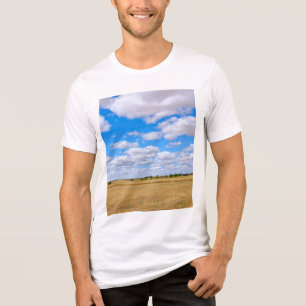 Campos de trigo colhidos