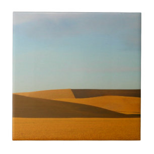 Campos de trigo dourados na região de Palouse