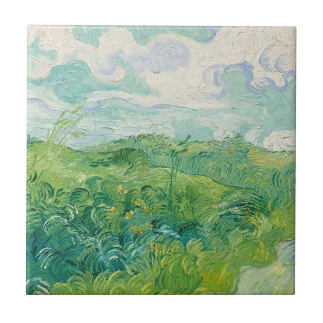 Campos de trigo verde Paisagem Art Van Gogh (Frente)