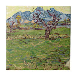 Campos próximos aos Alpilles Vincent van Gogh