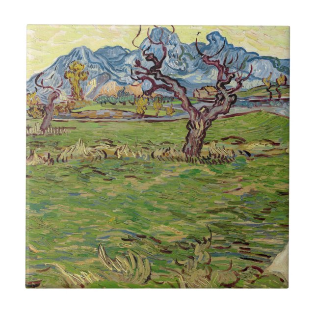 Campos próximos aos Alpilles Vincent van Gogh (Frente)