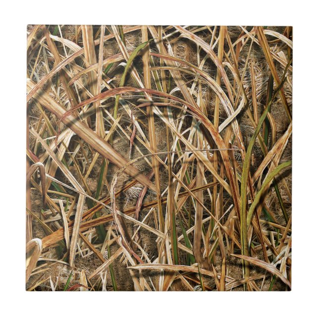 Camuflagem por John (Frente)