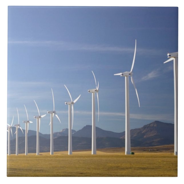 Canadá, Alberta, Crowsnest Pass Area: Cowley (Frente)