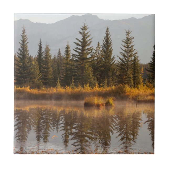 Canadá, Alberta, Parque Nacional Jasper (Frente)