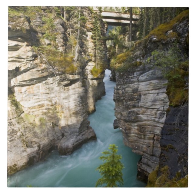 Canadá, Alberta, Parque Nacional Jasper, Athabasca (Frente)