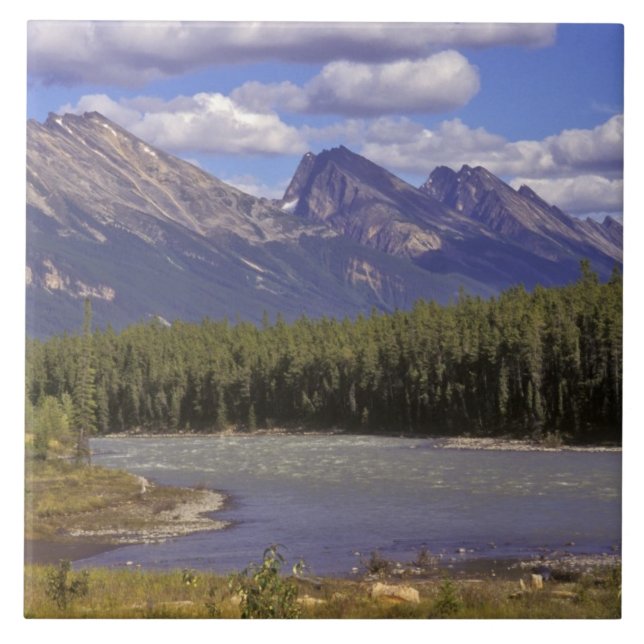 Canadá, Alberta, Parque Nacional Jasper. Grande (Frente)