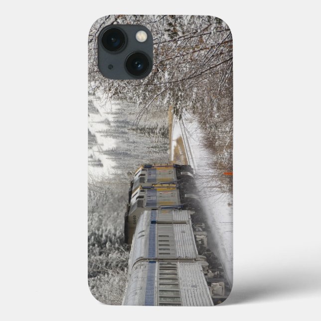 Canada, Alberta. VIA Rail Snow Train between (Verso)