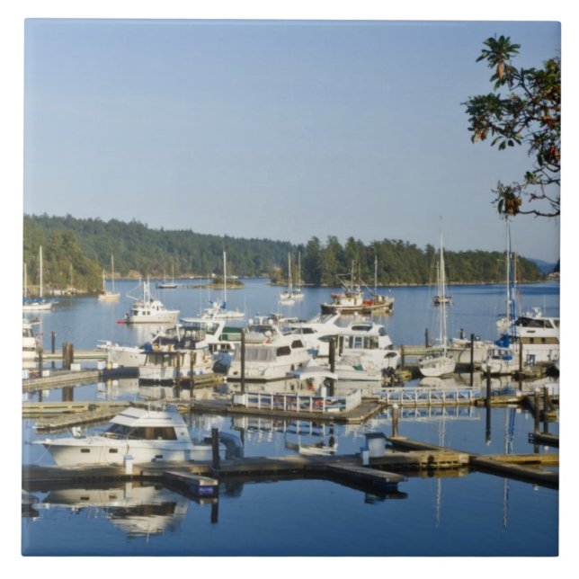 Canadá, BC, Ilhas do Golfo, Ilha Salt Spring, (Frente)