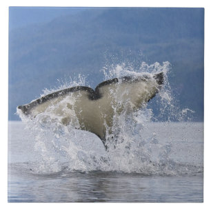 Canadá, Colúmbia Britânica, Ilha de Vancouver,