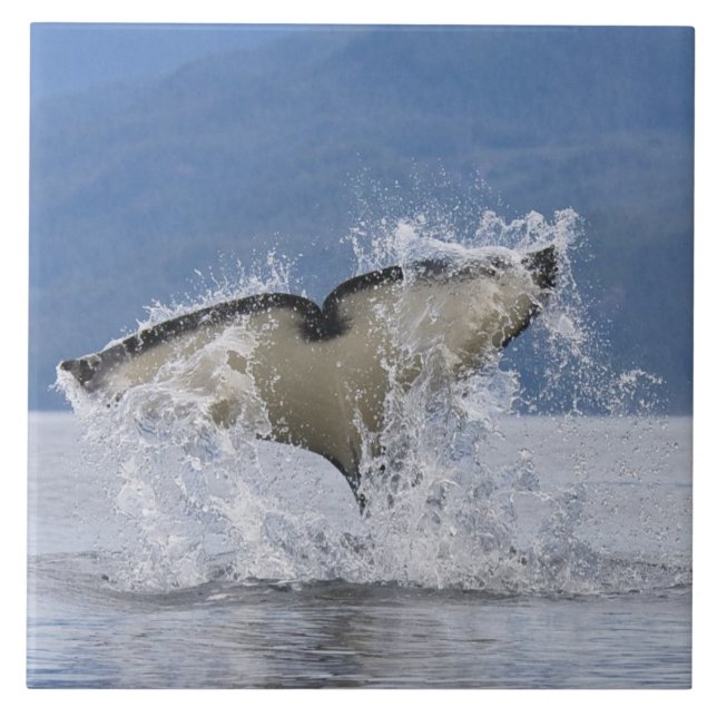 Canadá, Colúmbia Britânica, Ilha de Vancouver, (Frente)