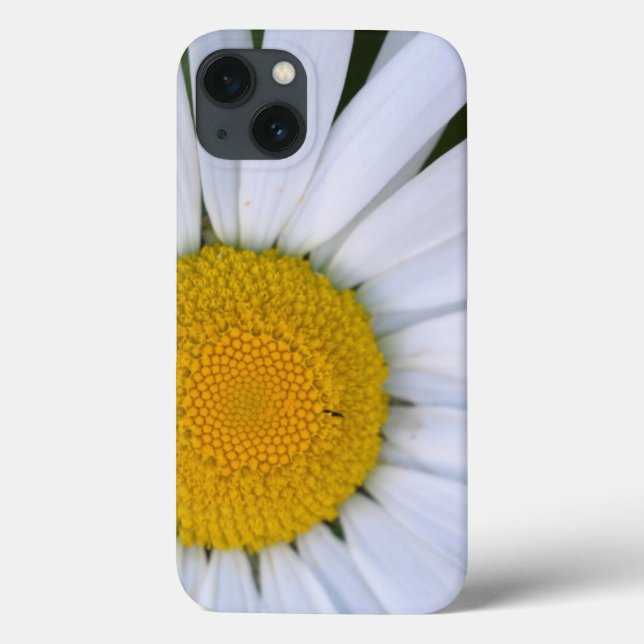 Canadá, Colúmbia Britânica, Ilha de Vancouver 8 (Verso)