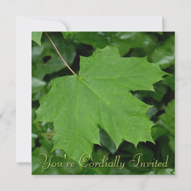 Canadá Convites Mapeamento Personalizado RSVP de C (Frente)