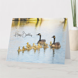 Canadá Gansos & Goslings - Cartão de Aniversário