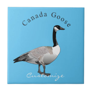 Canadá Goose Gander Thunder_Cove