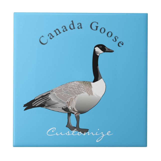 Canadá Goose Gander Thunder_Cove (Frente)