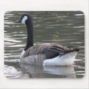Canadá Goose Mousepad