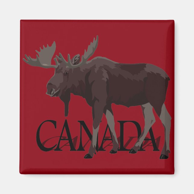 Canadá Imã de geladeira Moose Canadá Magnet Souven (Frente)