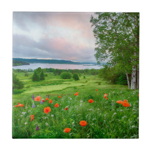 Canadá, New Brunswick, , 3