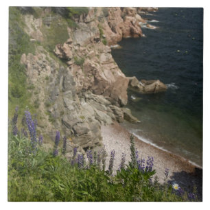 Canadá, Nova Escócia, Ilha do Cabo Breton, Cabot 3