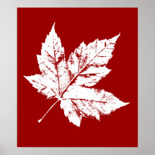 Canadá Poster Canadá Maple Leaf Souvenir Impress