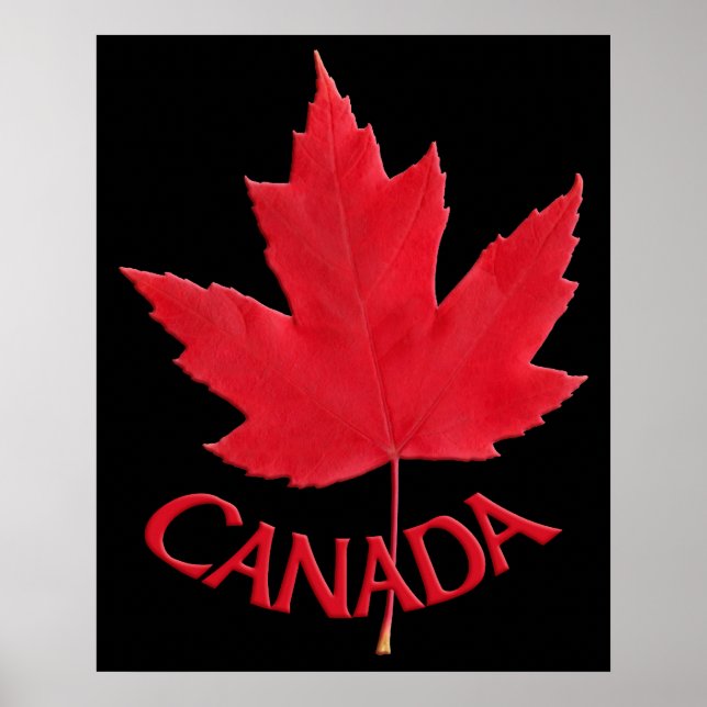 Canadá Poster Canadá Maple Leaf Souvenir Impressão (Frente)
