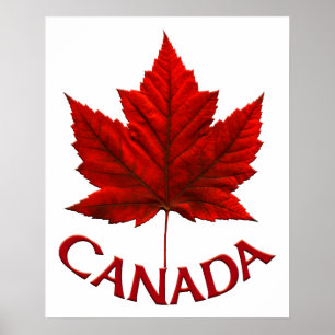 Canadá Poster Canadá Maple Leaf Souvenir Impressão