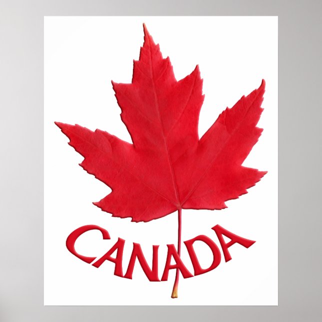 Canadá Poster Canadá Maple Leaf Souvenir Impressão (Frente)