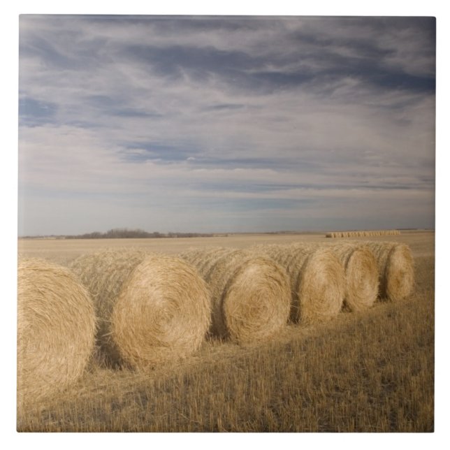 Canadá, Saskatchewan, Craik: Fardos de feno / Outo (Frente)