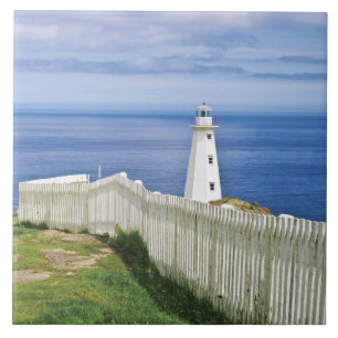 Canadá, Terra Nova, Cape Spear National 2