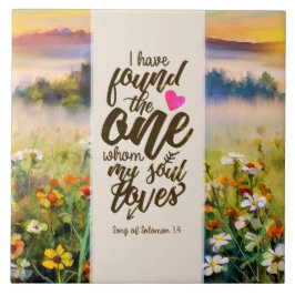 Canção de Salomão 3:4 Encontrei a Bíblia Uma