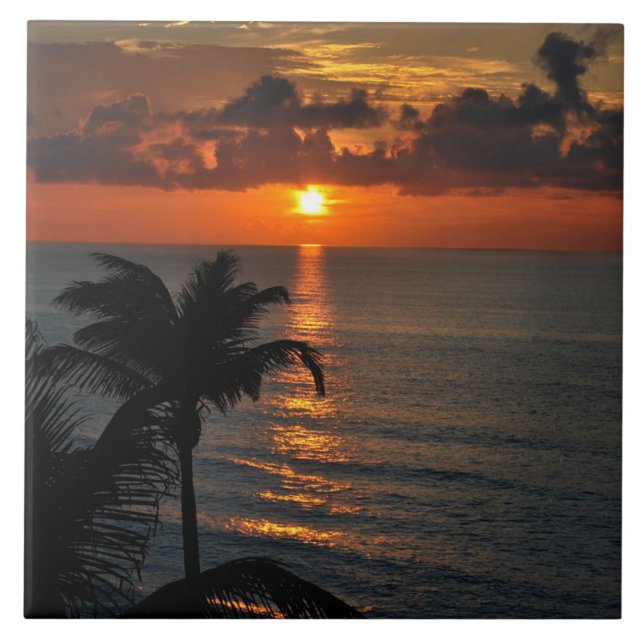 Cancelar Sunset (Frente)