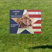 Candidato à Eleição Presidencial 2024 do Pet Cat