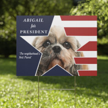 Candidato à Eleição Presidencial 2024 Foto Pet Dog