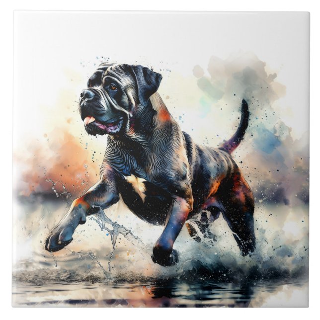 Cane Corso de Cane, com uma aquarela (Frente)