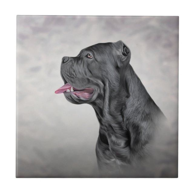 Cane Corso - Mastiff Italiano (Frente)