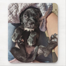 Cane Corso Puppy Mouse Pad