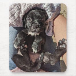 Cane Corso Puppy Mouse Pad