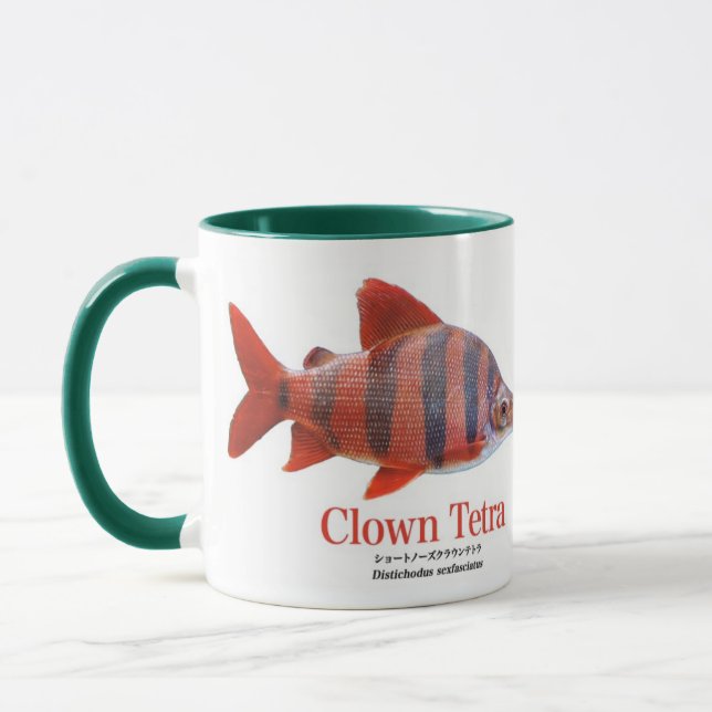 CANECA ショート・ノーズ・クラウン・テトラ (Esquerda)