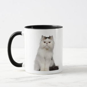 Caneca (10 meses velho) assento persa