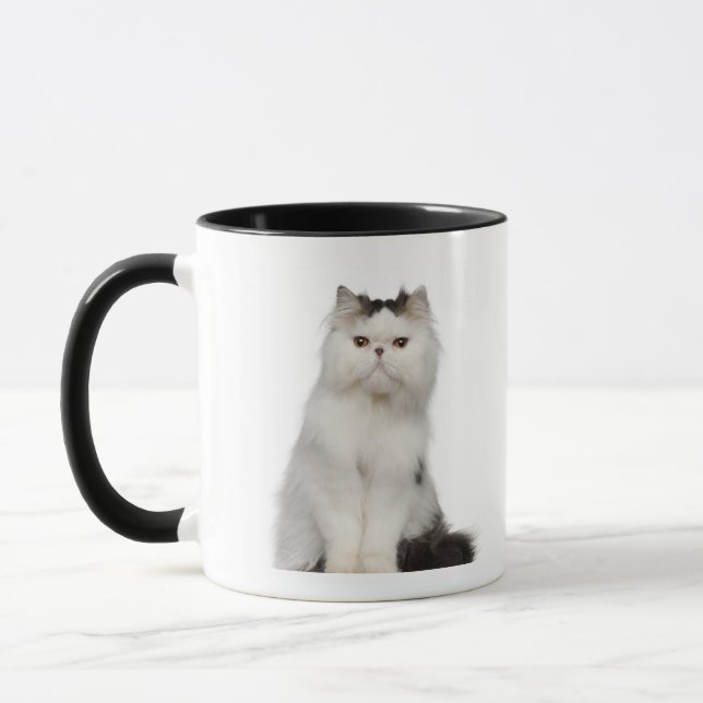 Caneca (10 meses velho) assento persa (Esquerda)