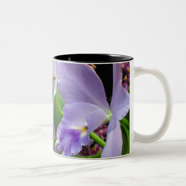 Caneca 11 da orquídea (Direita)
