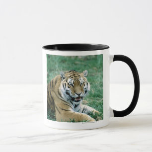 CANECA 24103189