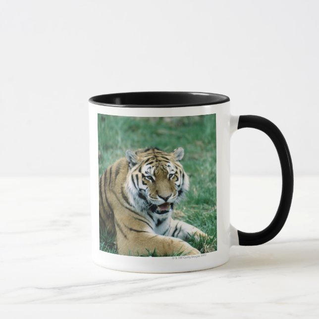CANECA 24103189 (Direita)