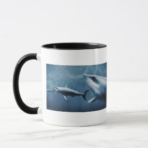 Caneca 3 grandes tubarões brancos (carcharias do