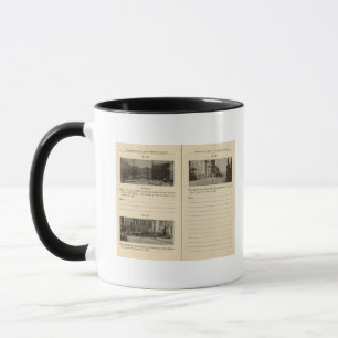 Caneca 73941 Albany